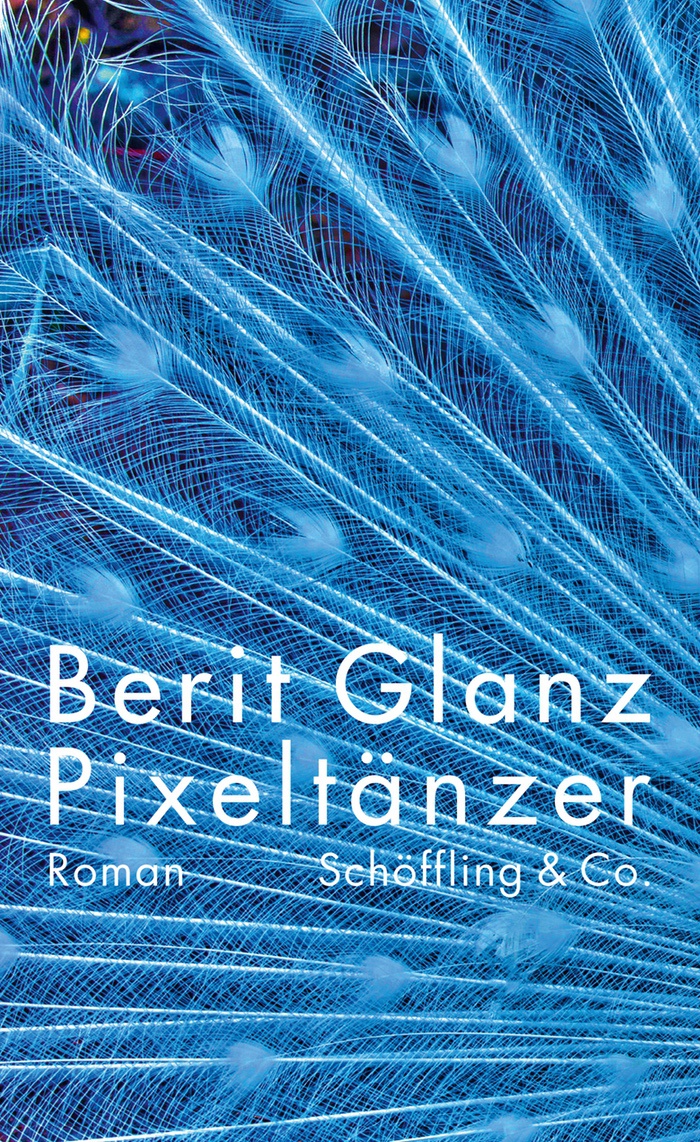 Berit Glanz: Pixeltänzer
