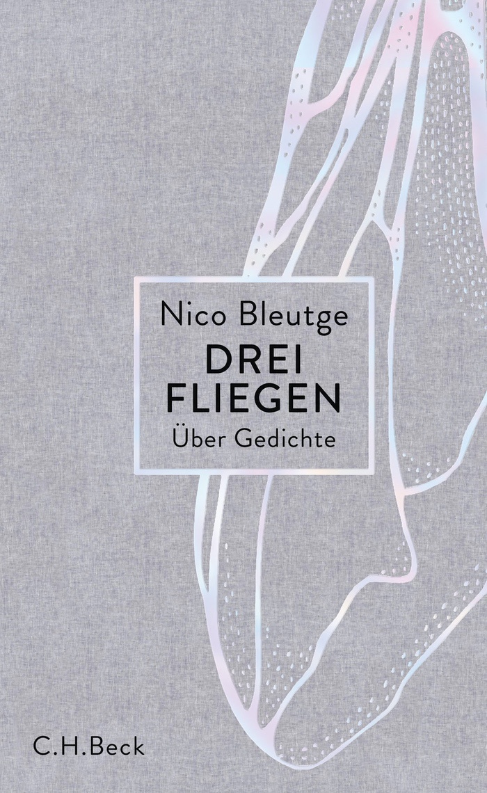 Nico Bleutge: Drei Fliegen Über Gedichte